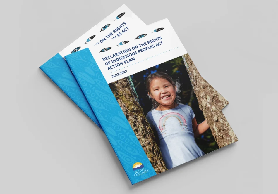 Declaration on the Rights of Indigenous Peoples Act Action Plan