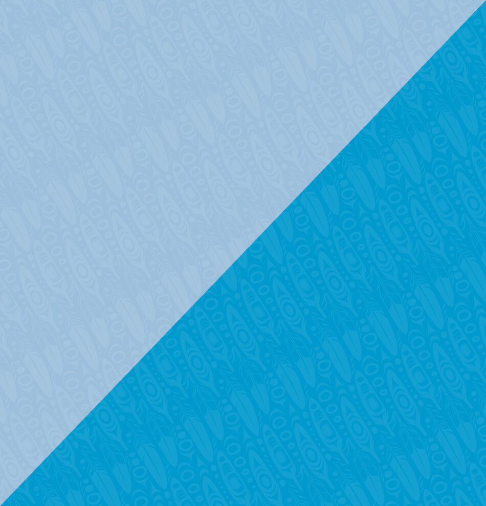 Feather Motif Pattern